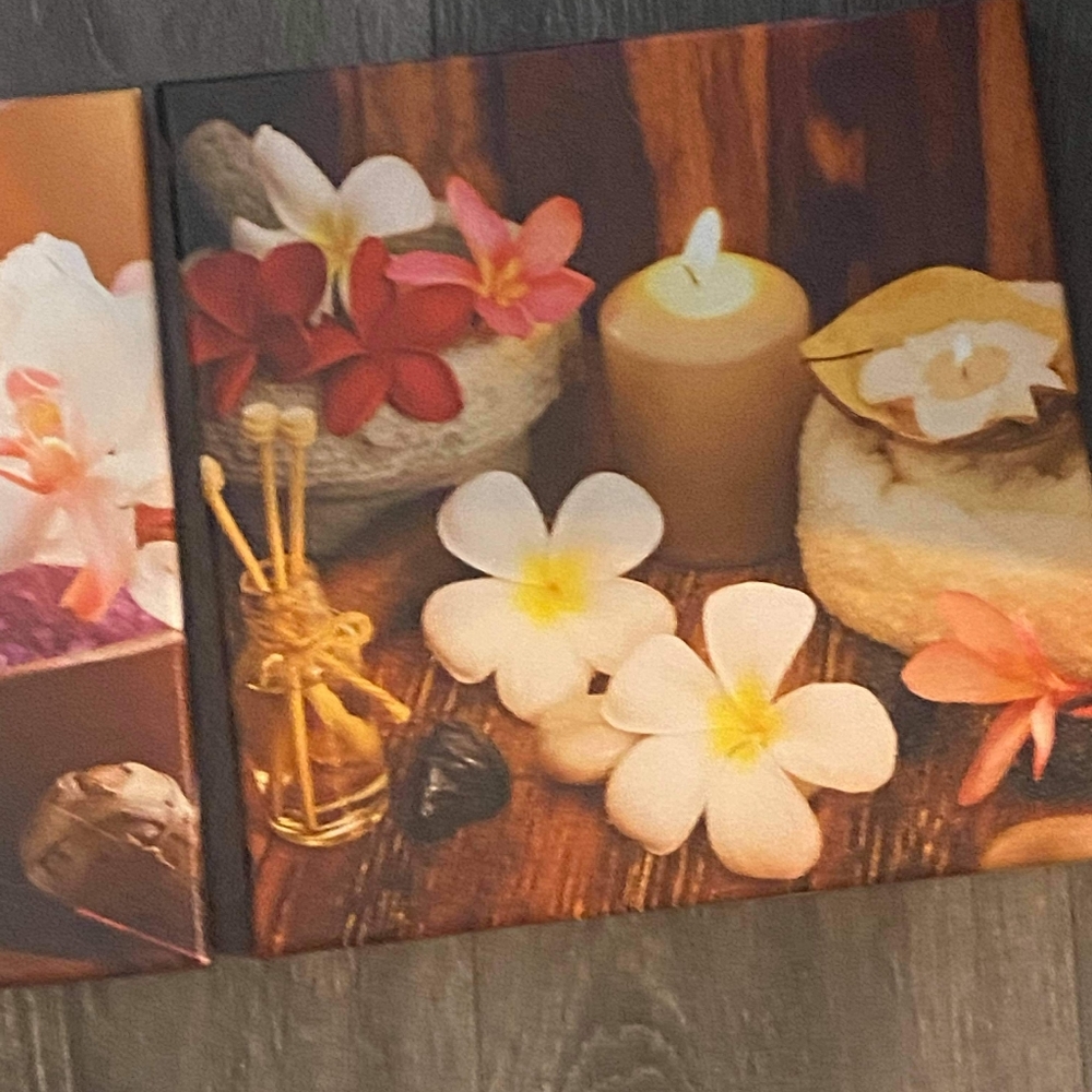 3 Zen Canvas paintings